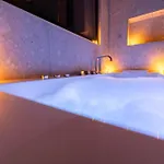 Appartamento Centre - Loft - Balnéo 1 *
